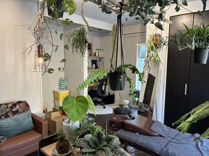 観葉植物に囲まれた非日常空間で癒される