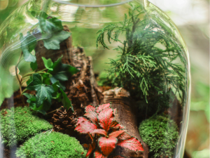 テラリウム整体院という名前に込めた想い