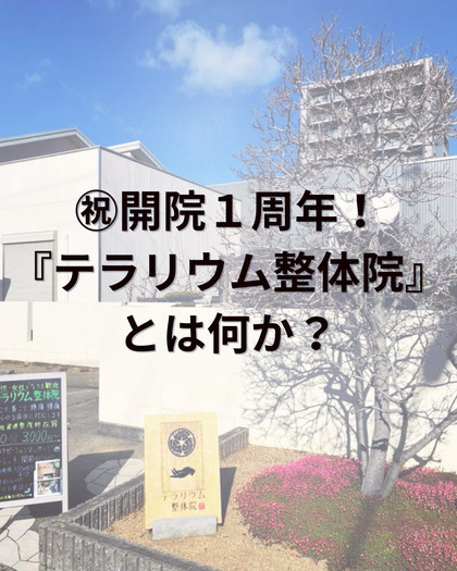 ㊗️開院1周年！&『テラリウム整体院』とは何か？